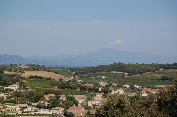 MtVenoux from Chateauneuf du Pape