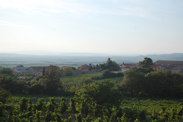West Provence from Gigondas